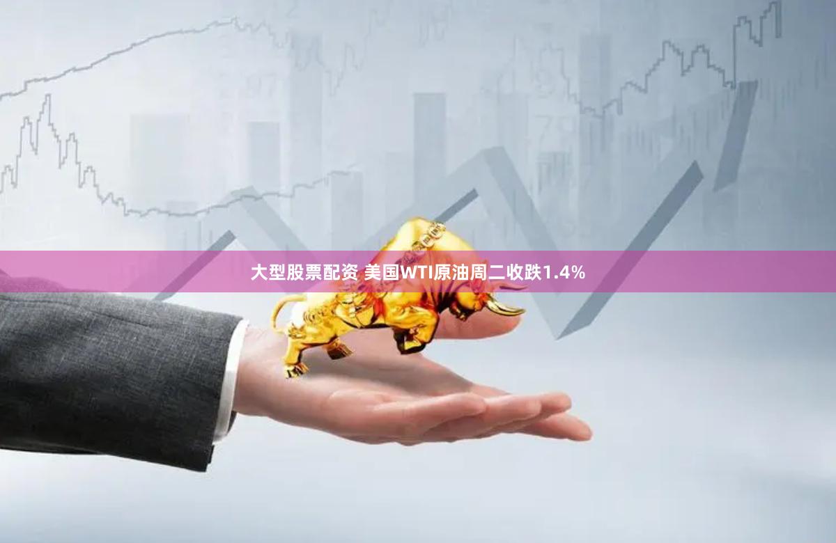 大型股票配资 美国WTI原油周二收跌1.4%