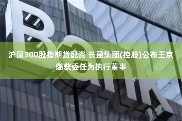 沪深300股指期货配资 长盈集团(控股)公布王京璐获委任为执行董事