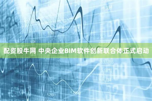 配资股牛网 中央企业BIM软件创新联合体正式启动