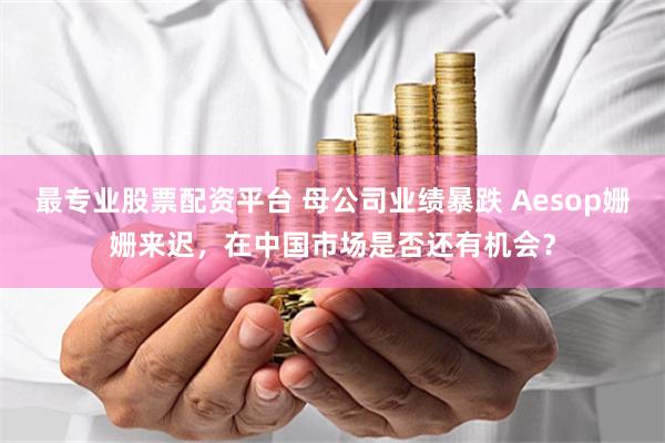 最专业股票配资平台 母公司业绩暴跌 Aesop姗姗来迟，在中国市场是否还有机会？