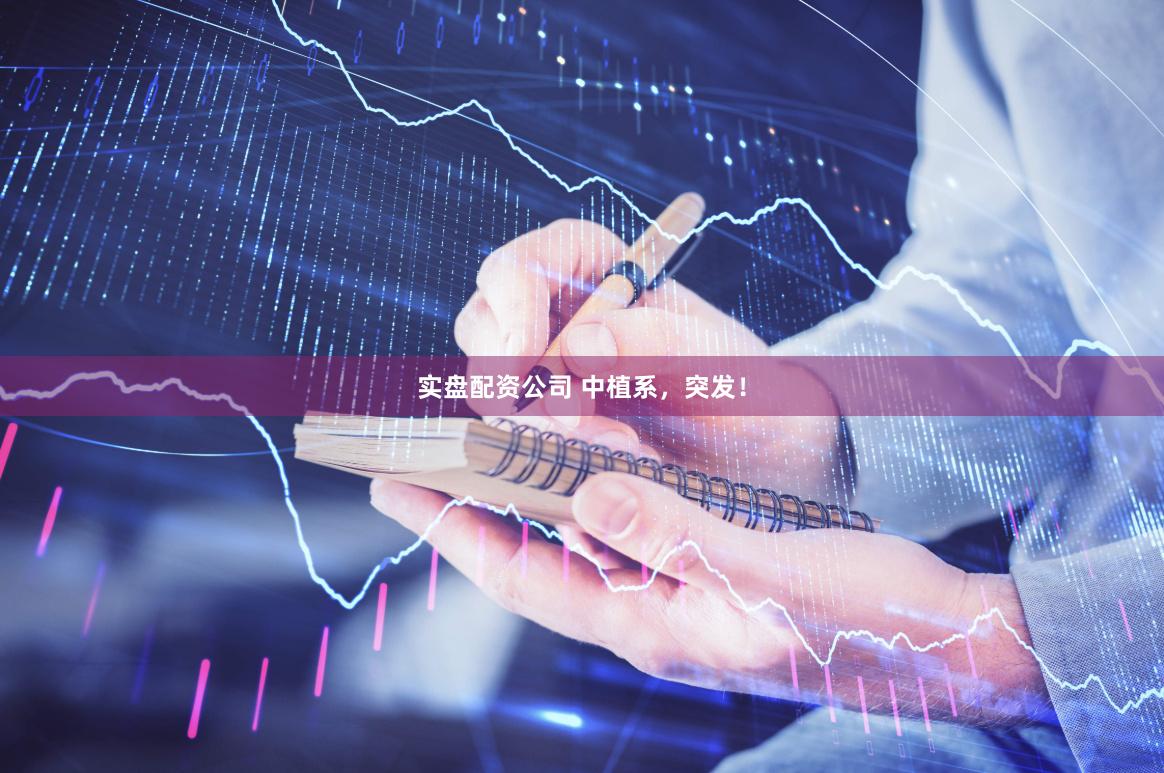 实盘配资公司 中植系，突发！