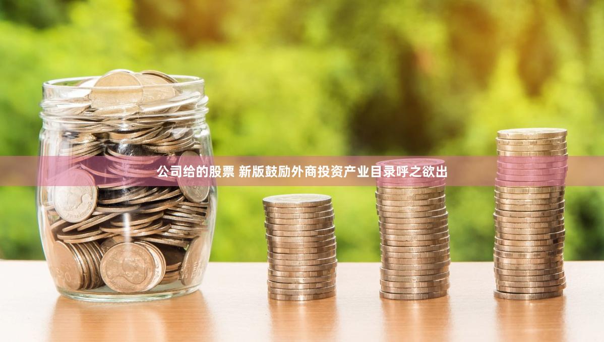 公司给的股票 新版鼓励外商投资产业目录呼之欲出