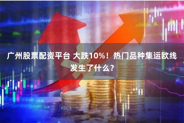 广州股票配资平台 大跌10%！热门品种集运欧线发生了什么？