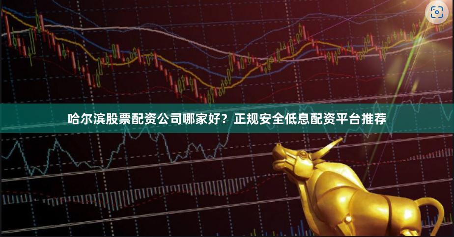 哈尔滨股票配资公司哪家好？正规安全低息配资平台推荐