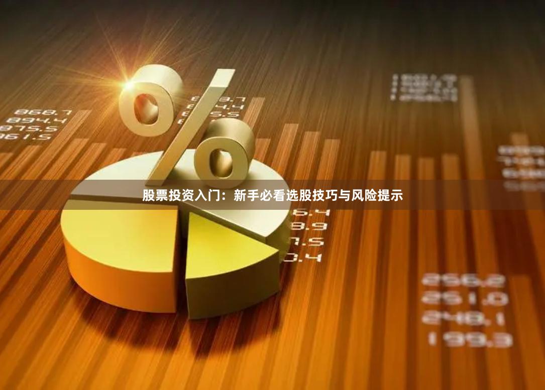 股票投资入门：新手必看选股技巧与风险提示
