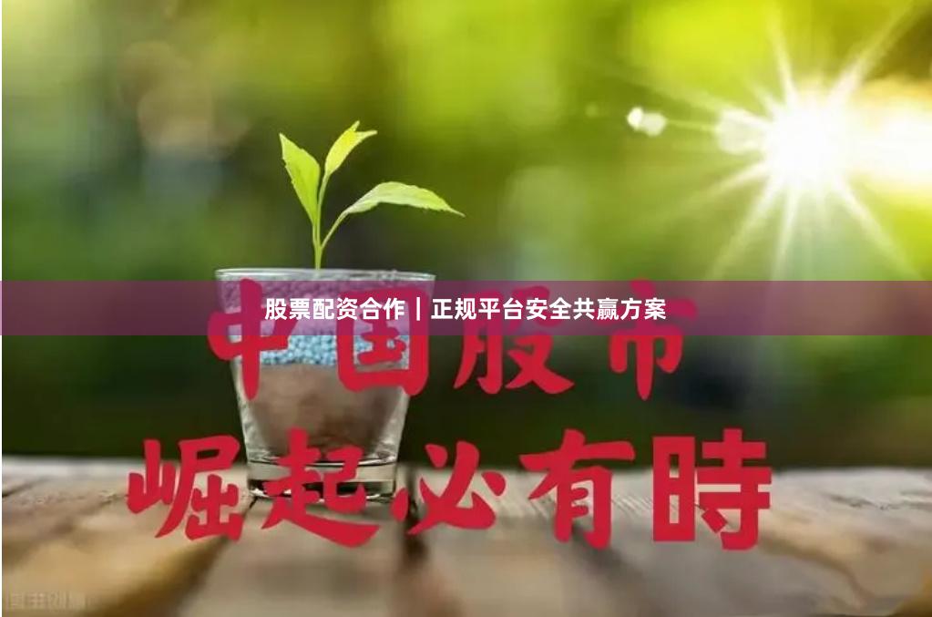 股票配资合作｜正规平台安全共赢方案